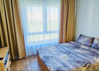 Сдам в аренду квартиру студию, 23 м2, Екатеринбург, Хуторская улица, 1/3