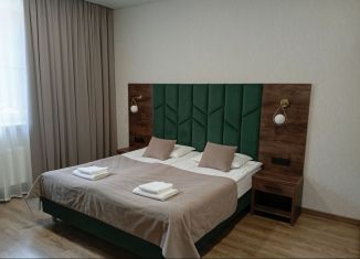 2-ком. квартира в аренду, 50 м2, Кабардино-Балкариия, Эльбрусская улица, 9А