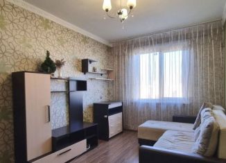 1-комнатная квартира в аренду, 28 м2, Новокузнецк, улица Покрышкина, 14