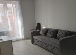 Сдается в аренду 1-комнатная квартира, 34 м2, Санкт-Петербург, улица Кустодиева, 5к1, метро Проспект Просвещения