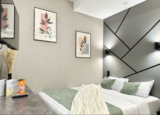 Сдача в аренду квартиры студии, 20 м2, Татарстан, улица Карла Маркса, 5