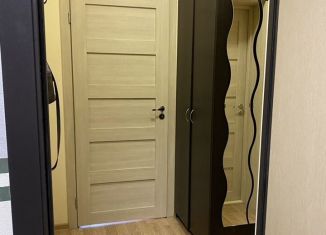 Продажа квартиры студии, 26.6 м2, Мурино, Воронцовский бульвар, 4