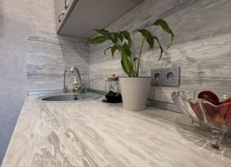 1-комнатная квартира на продажу, 32.3 м2, Псков, Звёздная улица, 4