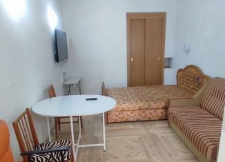 Продажа однокомнатной квартиры, 22 м2, Крым, улица Пальмиро Тольятти, 6