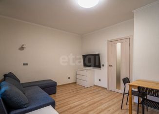 Продам квартиру студию, 24.3 м2, Мурино, Графская улица, 15