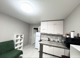 Квартира на продажу студия, 23 м2, Владимирская область, улица Маршала Устинова