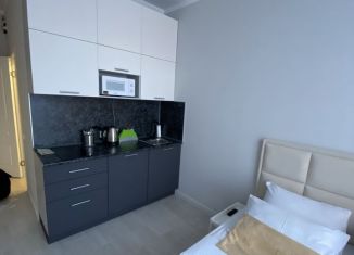 Сдам в аренду квартиру студию, 20 м2, Сочи, Депутатская улица, 10Б/1, ЖК Метрополь