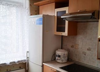 Сдача в аренду 2-комнатной квартиры, 46 м2, Санкт-Петербург, Елагинский проспект, 42, Приморский район