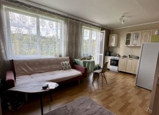 Продается 1-комнатная квартира, 34.7 м2, село Муханово, Советская улица