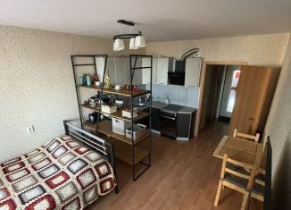 Продам квартиру студию, 23.3 м2, деревня Куттузи, Уланская улица, 3