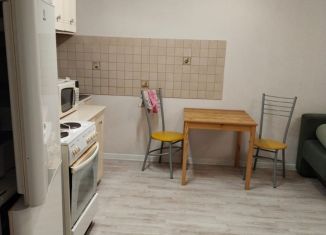 Сдаю в аренду квартиру студию, 33 м2, Новосибирск, улица Татьяны Снежиной, 31/1, Октябрьский район
