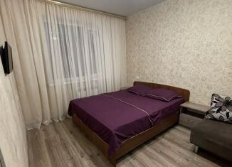 Сдается в аренду однокомнатная квартира, 32 м2, Ставрополь, улица Рогожникова, 7, Промышленный район