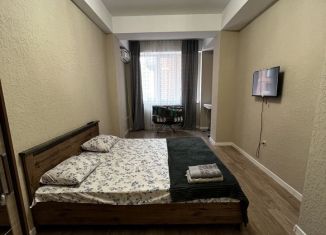 Сдается 1-комнатная квартира, 50 м2, Дагестан, улица Манташева, 76