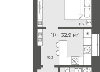 Продается однокомнатная квартира, 32.9 м2, Новосибирск, Советский район