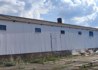 Продам помещение свободного назначения, 336 м2, село Киргиз-Мияки, улица Абдуллина, 2