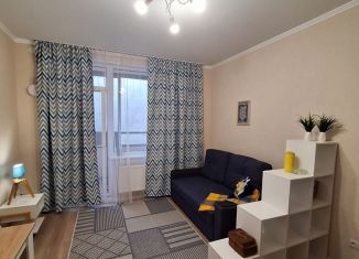 Квартира в аренду студия, 25 м2, Санкт-Петербург, проспект Будённого, 26к3