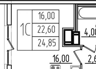 Продается 1-комнатная квартира, 25.1 м2, Санкт-Петербург, метро Московская