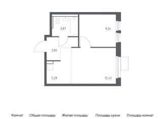 Продажа 1-ком. квартиры, 34.7 м2, Московская область, Центральная площадь
