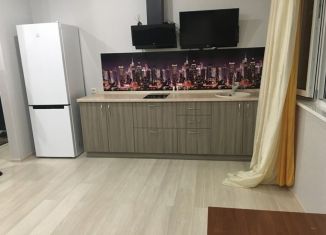 Сдам квартиру студию, 24 м2, Сочи, Донской переулок, 19