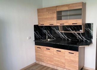 Сдается 2-комнатная квартира, 38 м2, Новосибирск, улица Михаила Востокова, 2