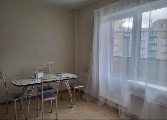 1-комнатная квартира в аренду, 43 м2, деревня Родина, Владимирская улица, 9А