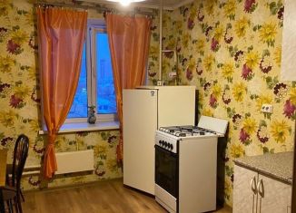 1-комнатная квартира в аренду, 43 м2, Оренбургская область, Самолётная улица, 198
