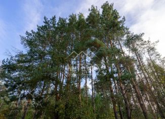 Продаю дом, 190 м2, деревня Орёл, улица 70 лет Победы, 6