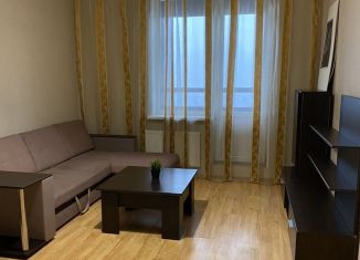 Аренда квартиры студии, 25 м2, Кудрово, Венская улица, 4к1