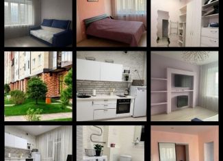 Сдам 2-комнатную квартиру, 60 м2, Красноярск, Линейная улица, 122, ЖК Покровка Лайф