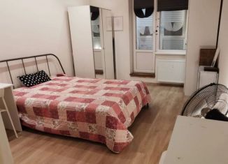 Продам квартиру студию, 24.5 м2, Кудрово, ЖК Вернисаж, Пражская улица, 15