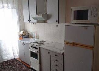 Сдается в аренду 1-комнатная квартира, 30 м2, Новосибирская область, Советская улица, 54