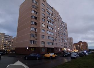 Однокомнатная квартира на продажу, 52 м2, село Рождествено, Сиреневый бульвар, 4, ЖК Новоснегирёвский