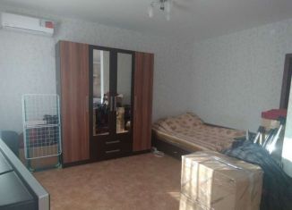Квартира в аренду студия, 36 м2, Волгоград, улица Гаря Хохолова, 6, Кировский район