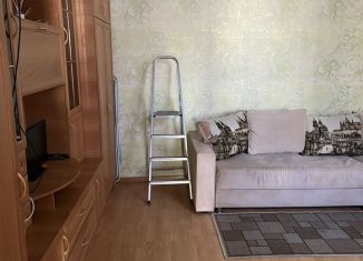 Сдаю в аренду 1-ком. квартиру, 28 м2, Ростов-на-Дону, Социалистическая улица, 122/25