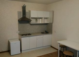 Продается квартира студия, 28 м2, Красноармейск, улица Морозова, 16