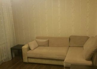 Сдам однокомнатную квартиру, 41 м2, Санкт-Петербург, Ланское шоссе