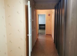 1-комнатная квартира в аренду, 46 м2, Санкт-Петербург, Шуваловский проспект, 61к2, метро Комендантский проспект