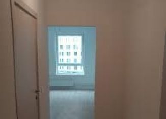 Продам 1-комнатную квартиру, 37 м2, Санкт-Петербург, улица Руставели, Калининский район