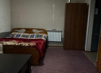 1-комнатная квартира в аренду, 33 м2, Сочи, улица Пчеловодов, 22, микрорайон Молдовка