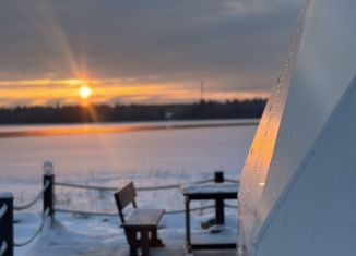 Сдам в аренду дом, 37 м2, деревня Силино