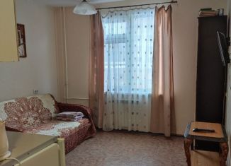 Аренда квартиры студии, 18 м2, Нижегородская область, Бурнаковская улица