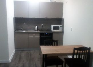 Сдача в аренду 1-ком. квартиры, 38 м2, поселок Бугры, Гаражный проезд, 27к2, ЖК Новые Горизонты