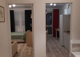 1-комнатная квартира в аренду, 33 м2, Калининградская область, Приморская улица, 35