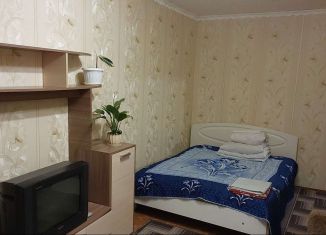 1-комнатная квартира в аренду, 33 м2, Нижегородская область, улица Чапаева, 58