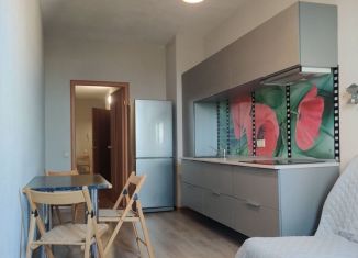 Аренда однокомнатной квартиры, 40 м2, Свердловская область, Библиотечная улица, 50А