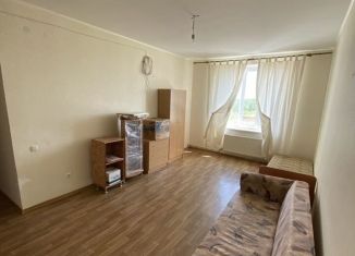 Сдается в аренду 1-комнатная квартира, 46 м2, село Уютное, улица Кирова, 32