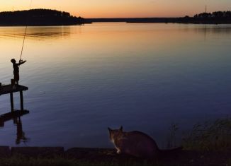 Продам земельный участок, 10 сот., деревня Пачково