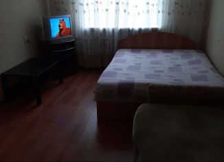 Сдается однокомнатная квартира, 42 м2, Республика Башкортостан, улица Загира Исмагилова, 14