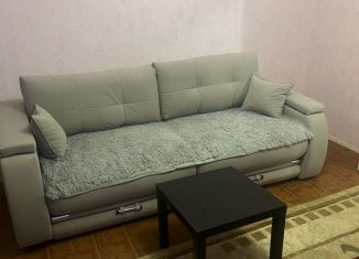 Сдача в аренду 2-ком. квартиры, 70 м2, Нижний Тагил, Заводская улица, 5