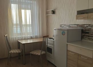 Сдается однокомнатная квартира, 32 м2, Пермь, улица Сигаева, 10Б, Мотовилихинский район